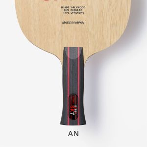 Korbel SK7 - Anatomic (AN)